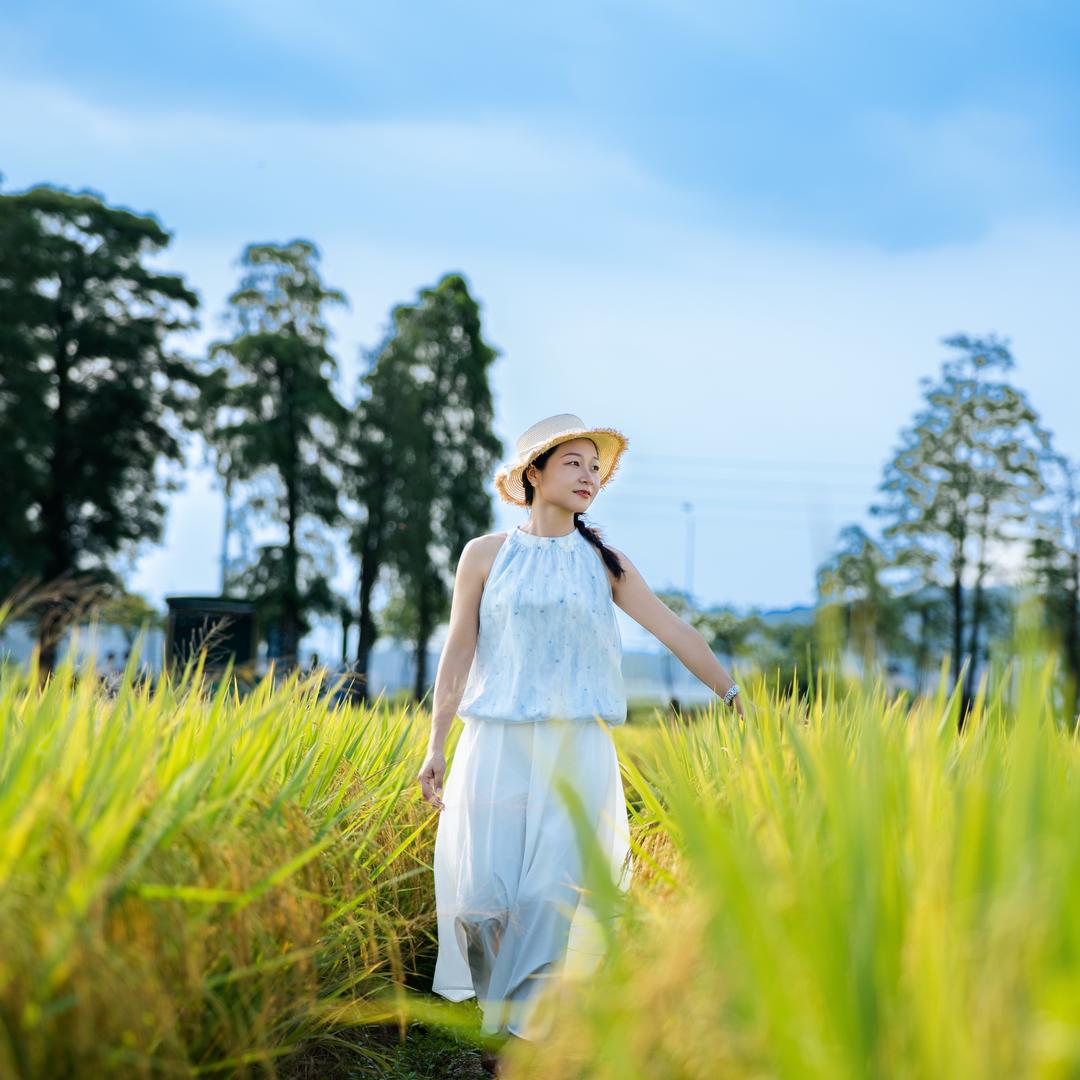 金大地玻璃思颖✨