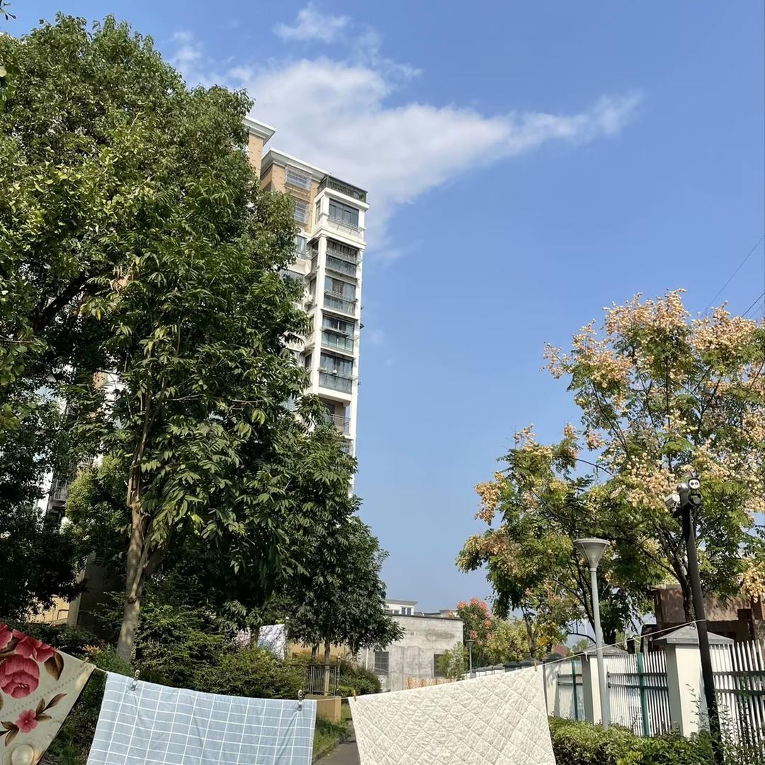 爱丫丫🌻