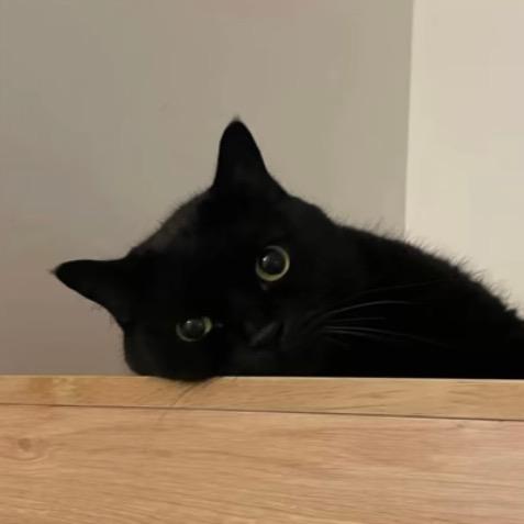 Miao