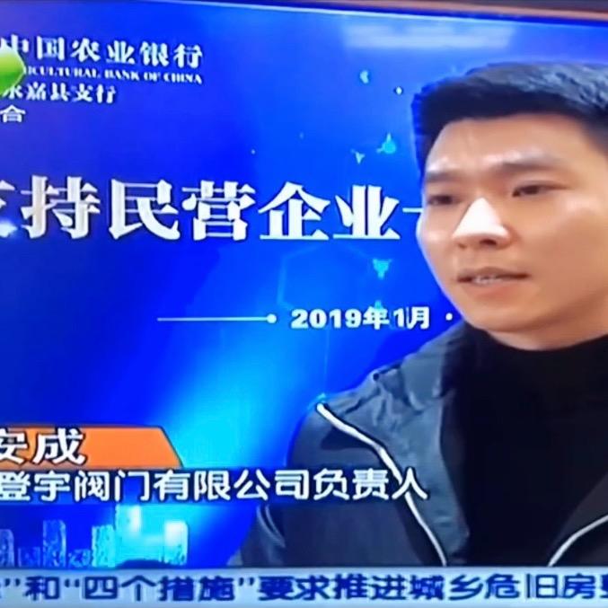 温州登宇阀门制造有限公司