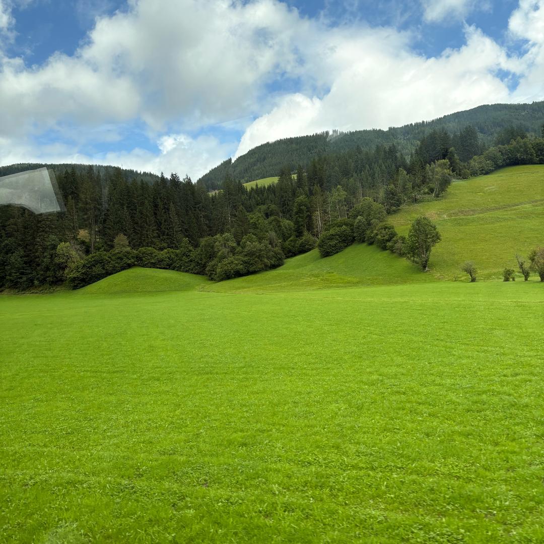 魏县大众张院长