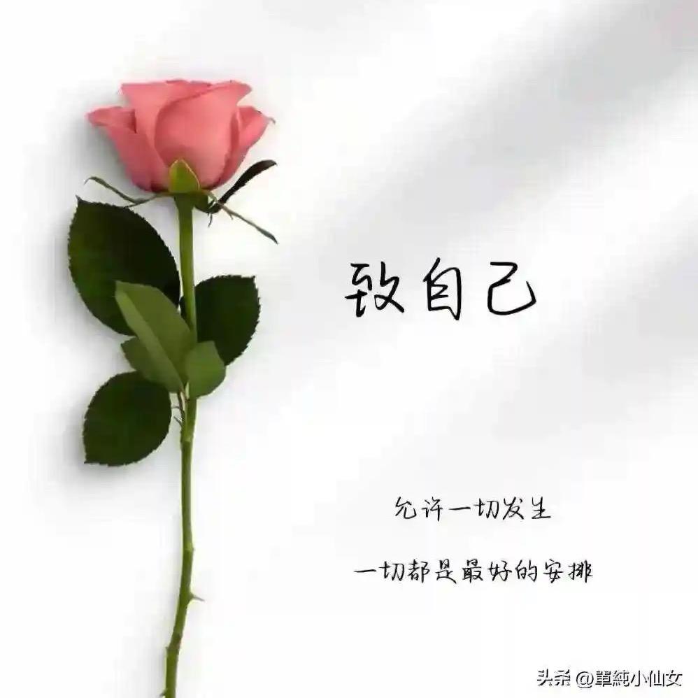 霞霞💞