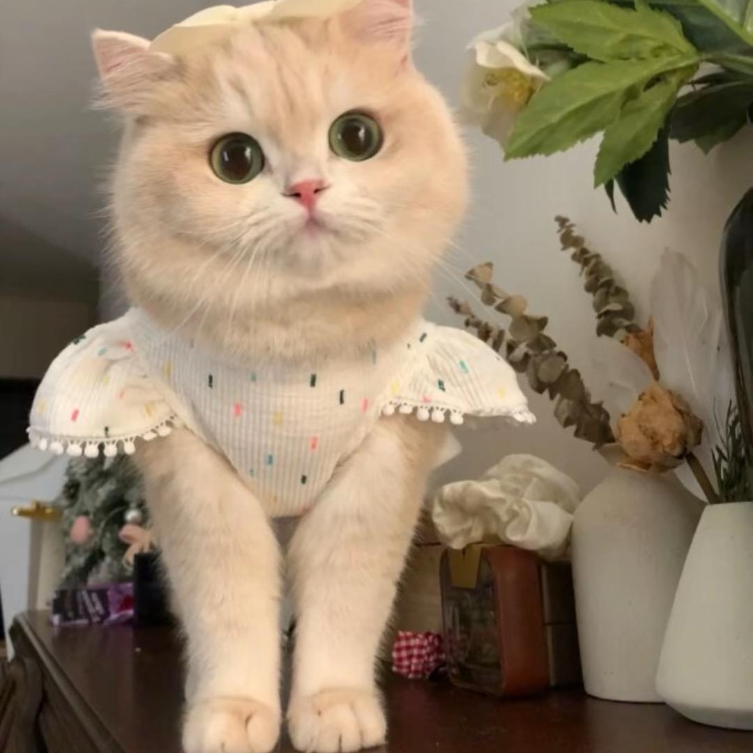 ！！