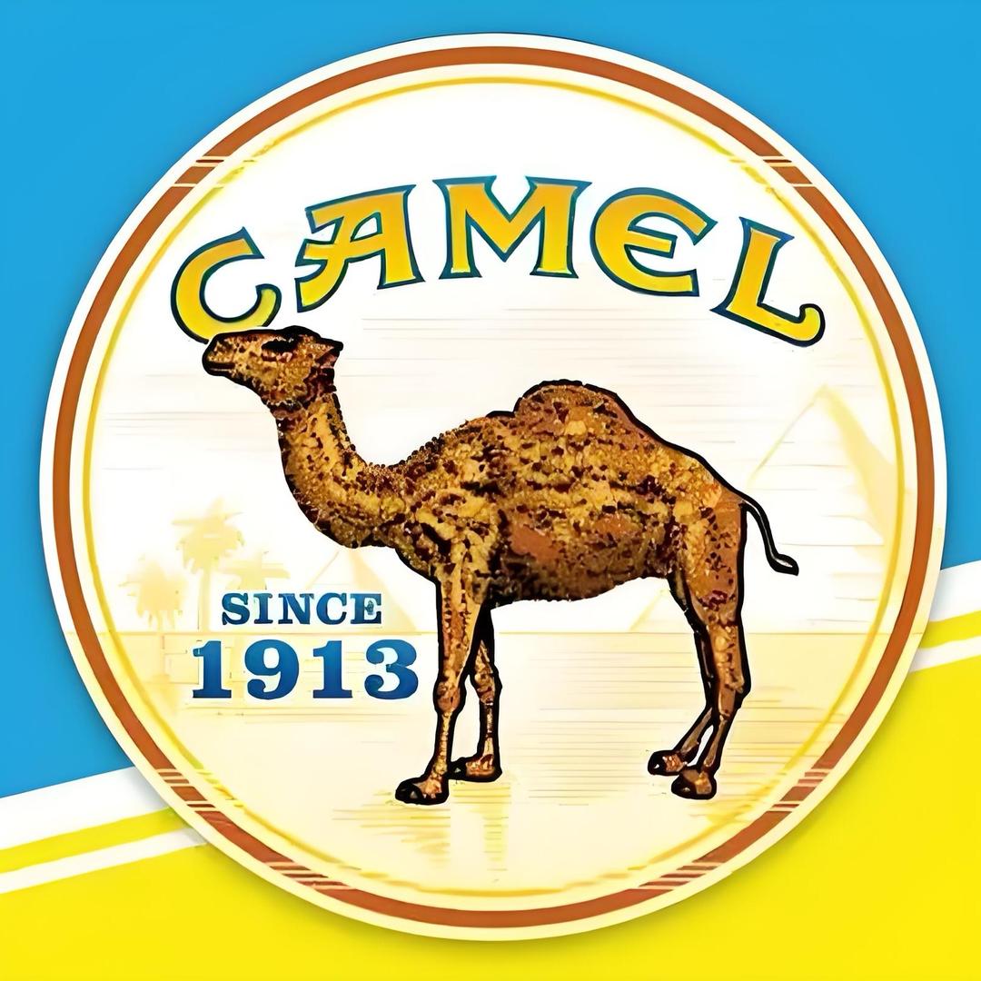 🐫骆驼CAMEL红外围炉取暖器廠