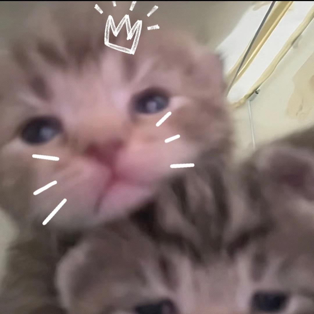 ME💕