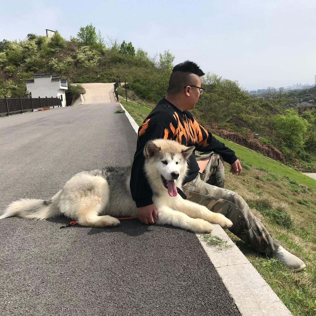 龙飞包装（手工）