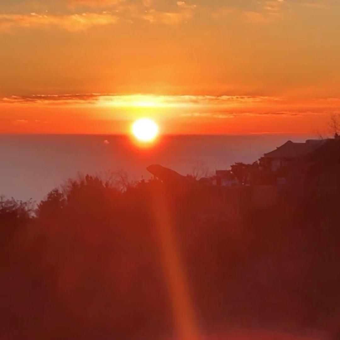 佳美营养—沉枫