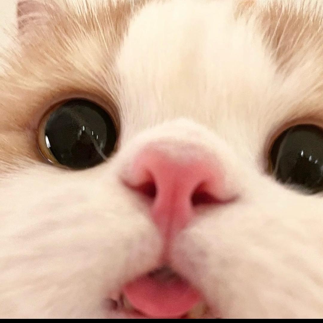 好想吃碳水