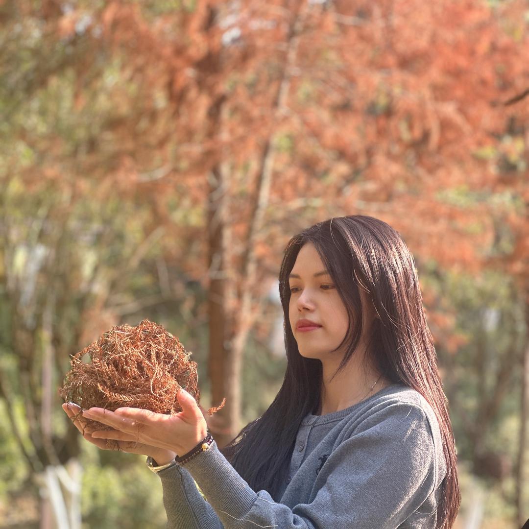 你的蓝
