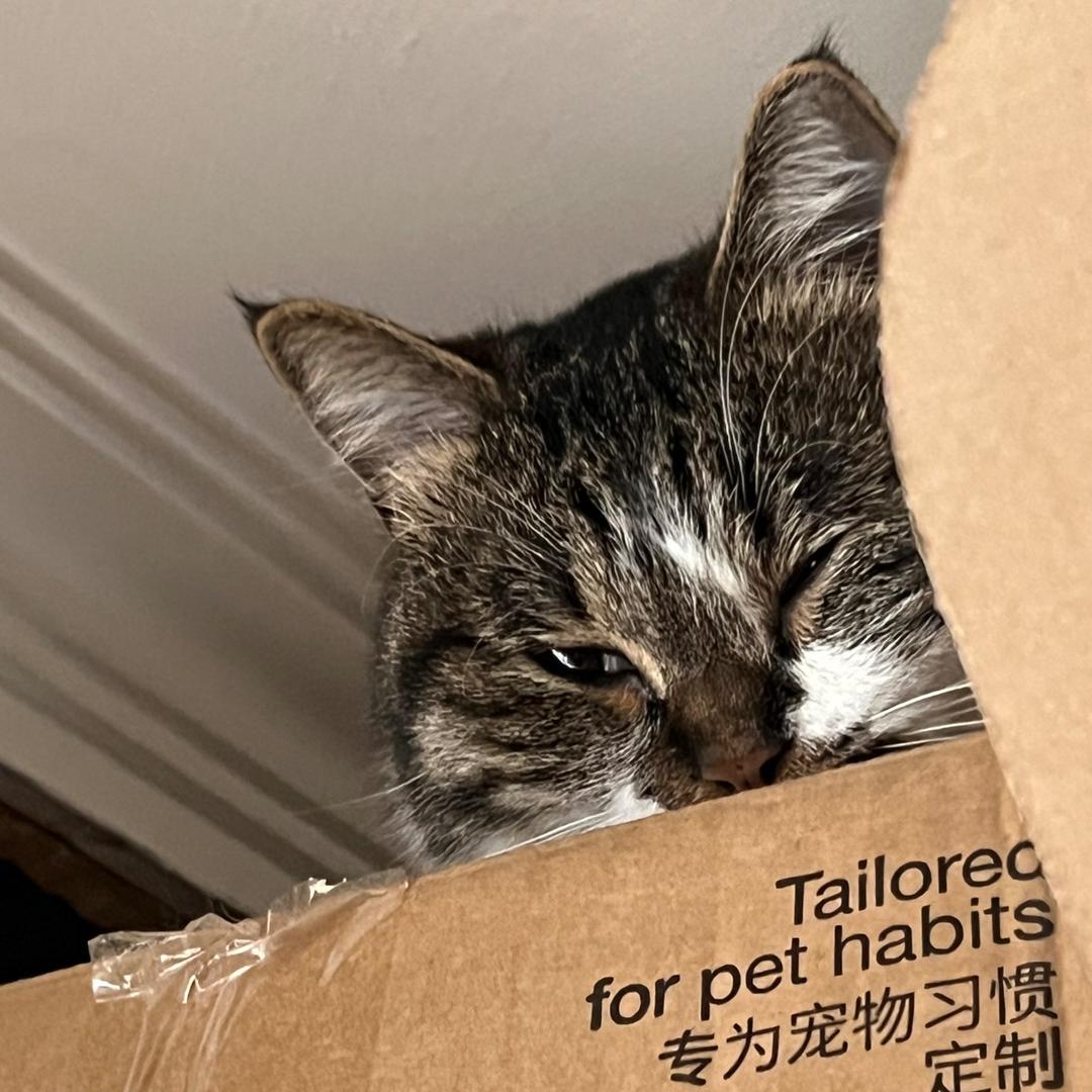 797