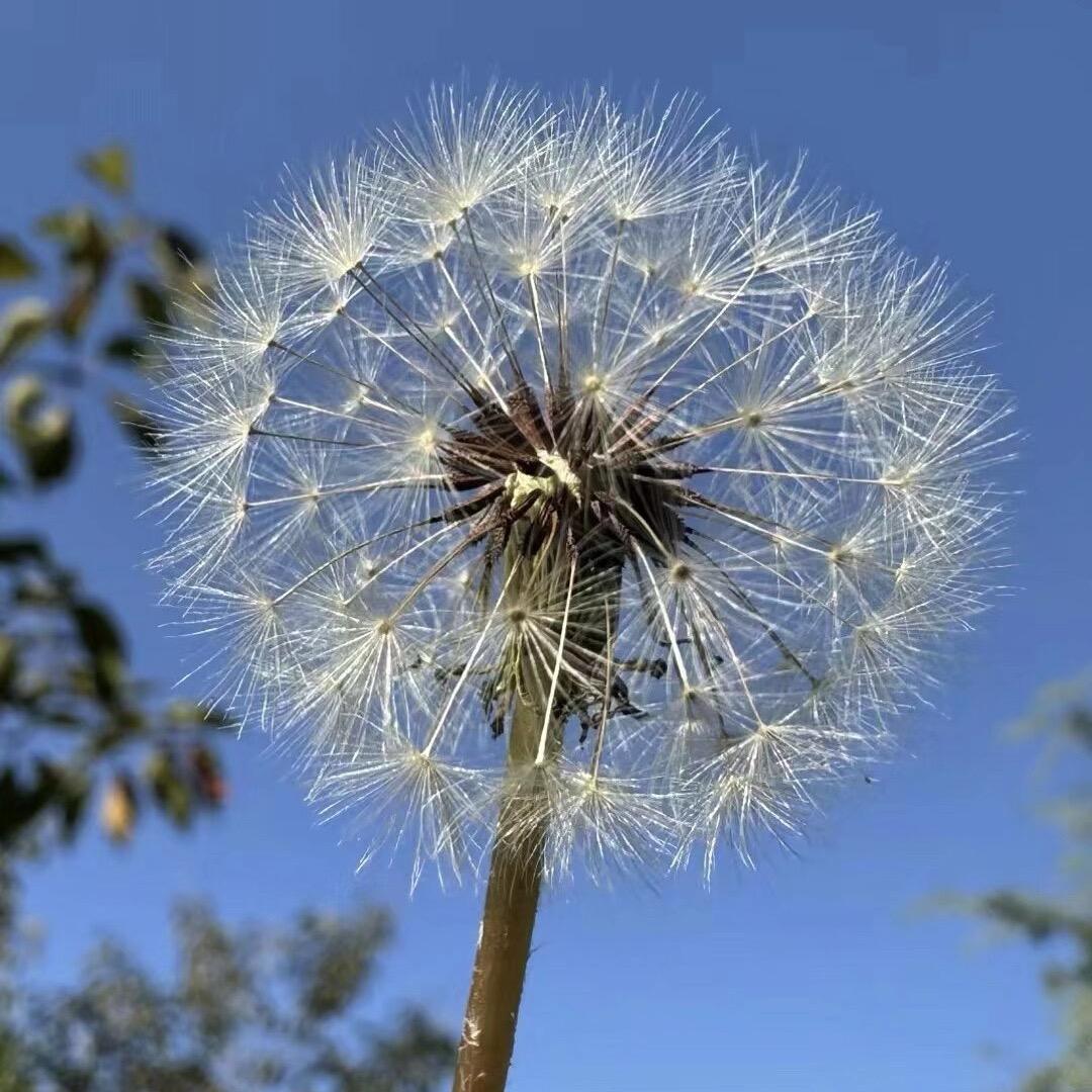 《过往清零》🌺
