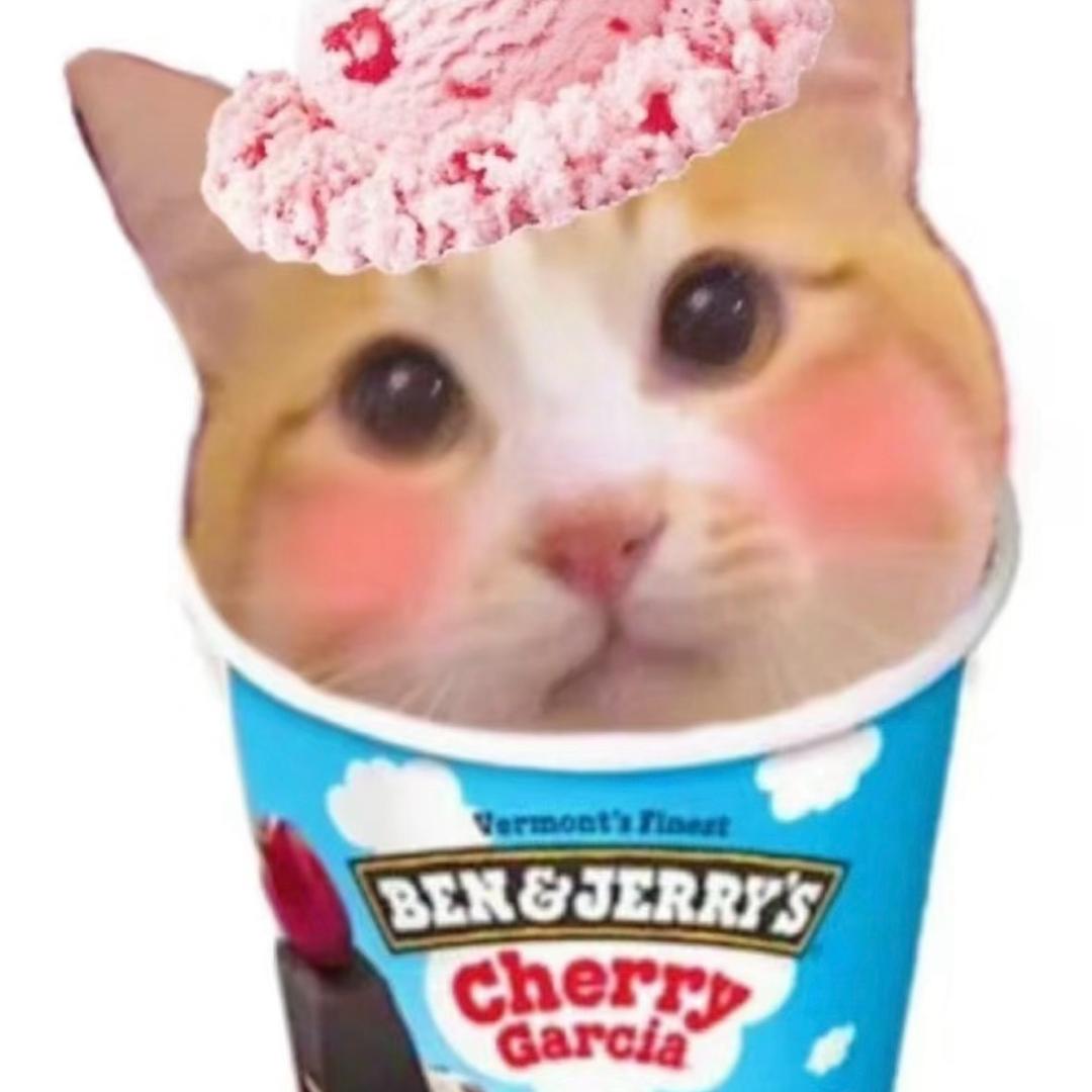 饭团的猫meme