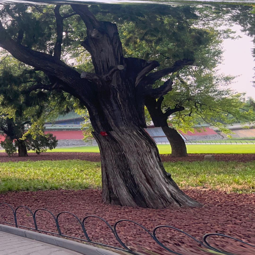 小师弟