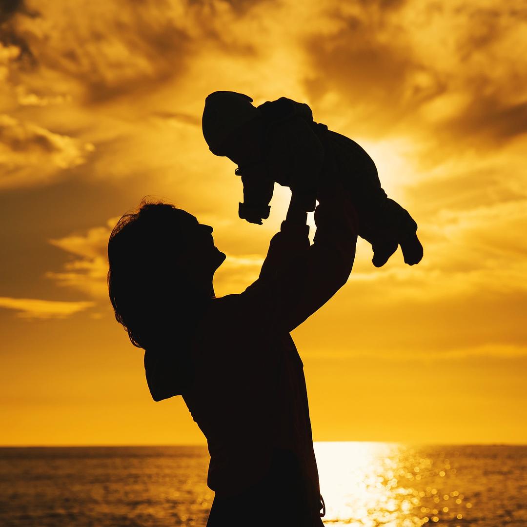 青豆书坊童书绘本