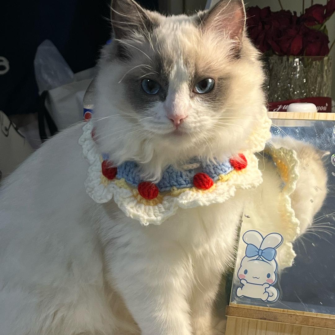 赫尔思游泳潘教练