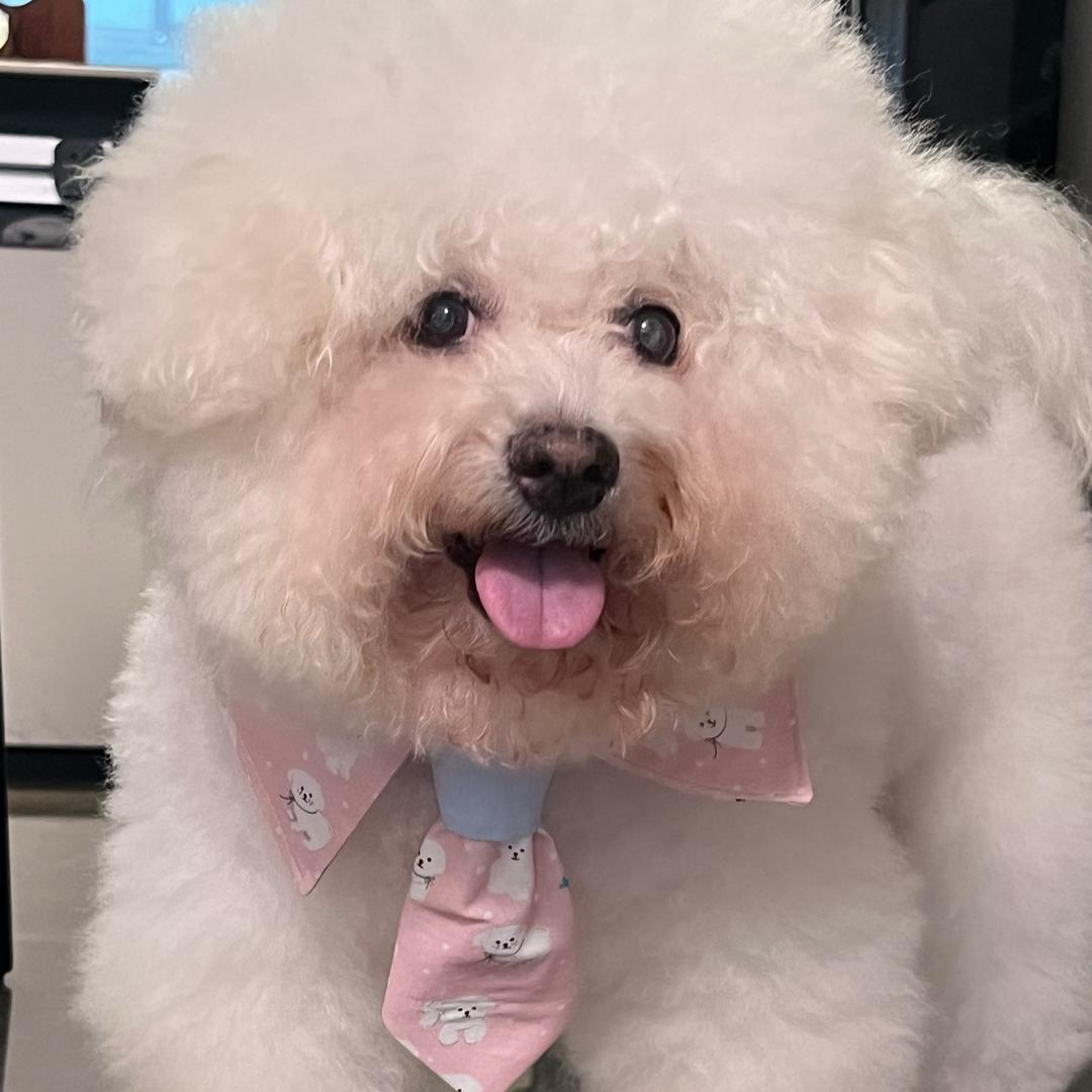 我好想发脾气