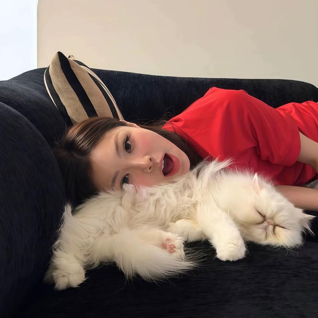 我爱一个河北人