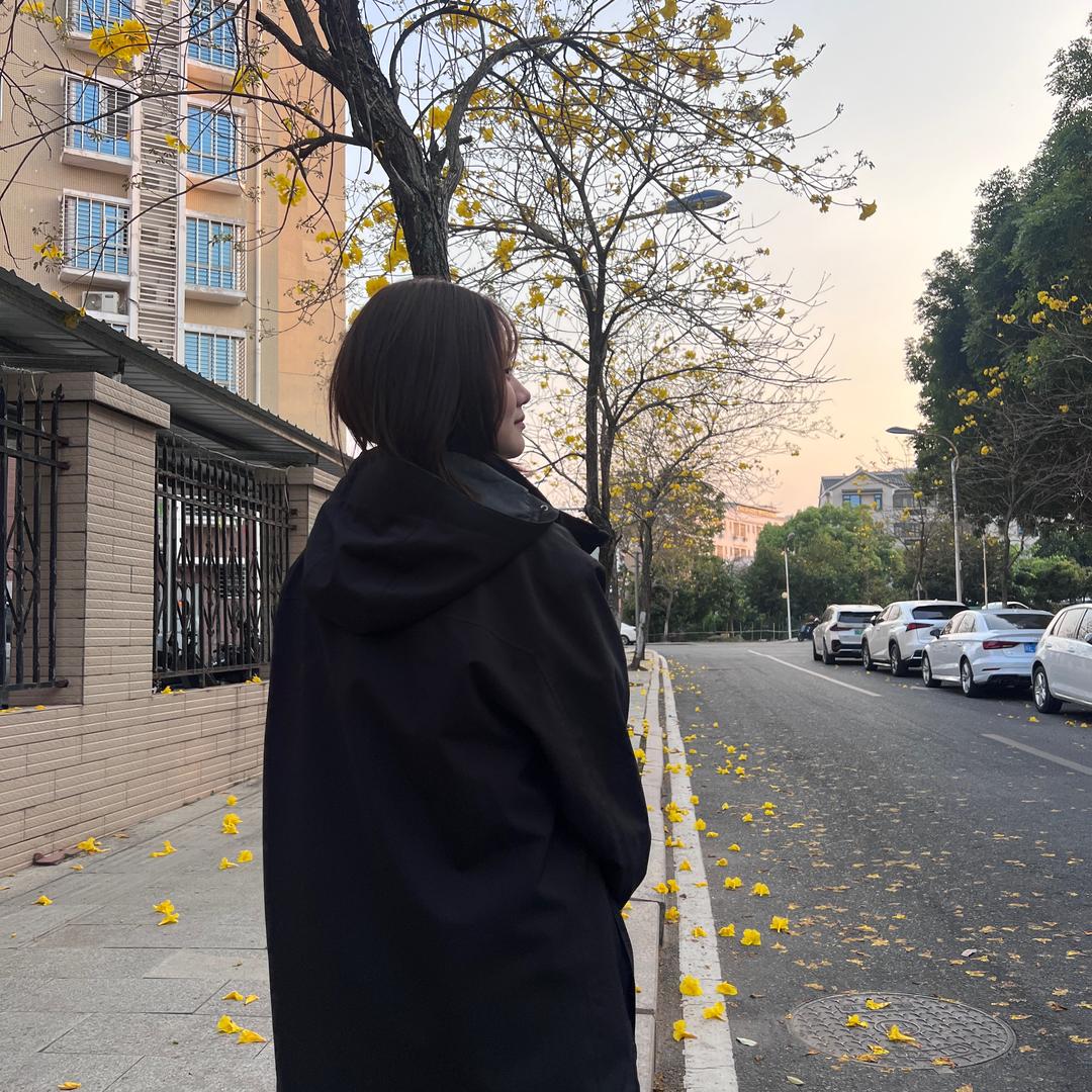 淡若清风 🏍️