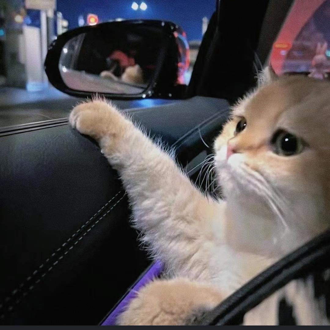 海港城撤柜品牌女鞋🇭🇰