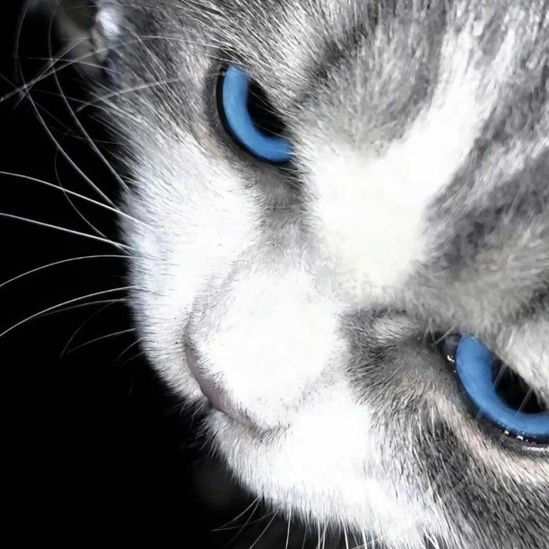 反派