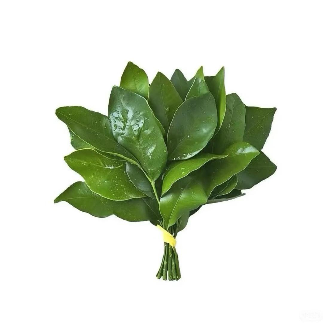 聆渔秋