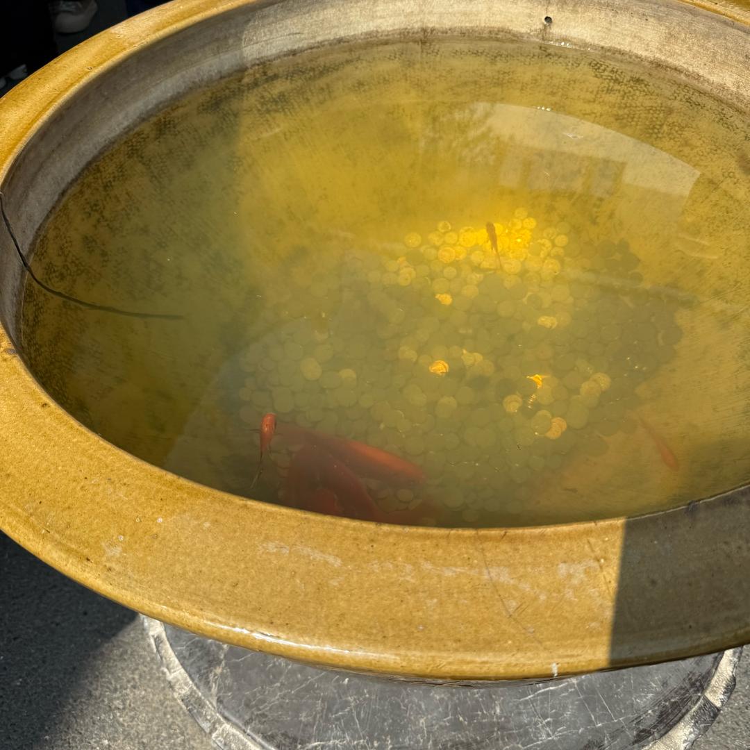 杨公零食小铺淮南市东乐餐饮