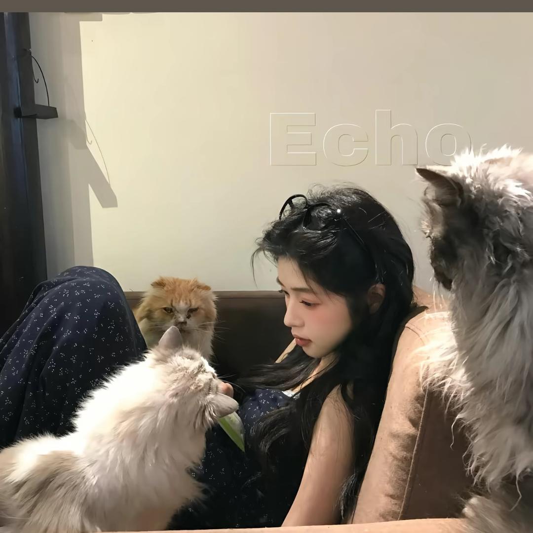 越狱兔🕶️