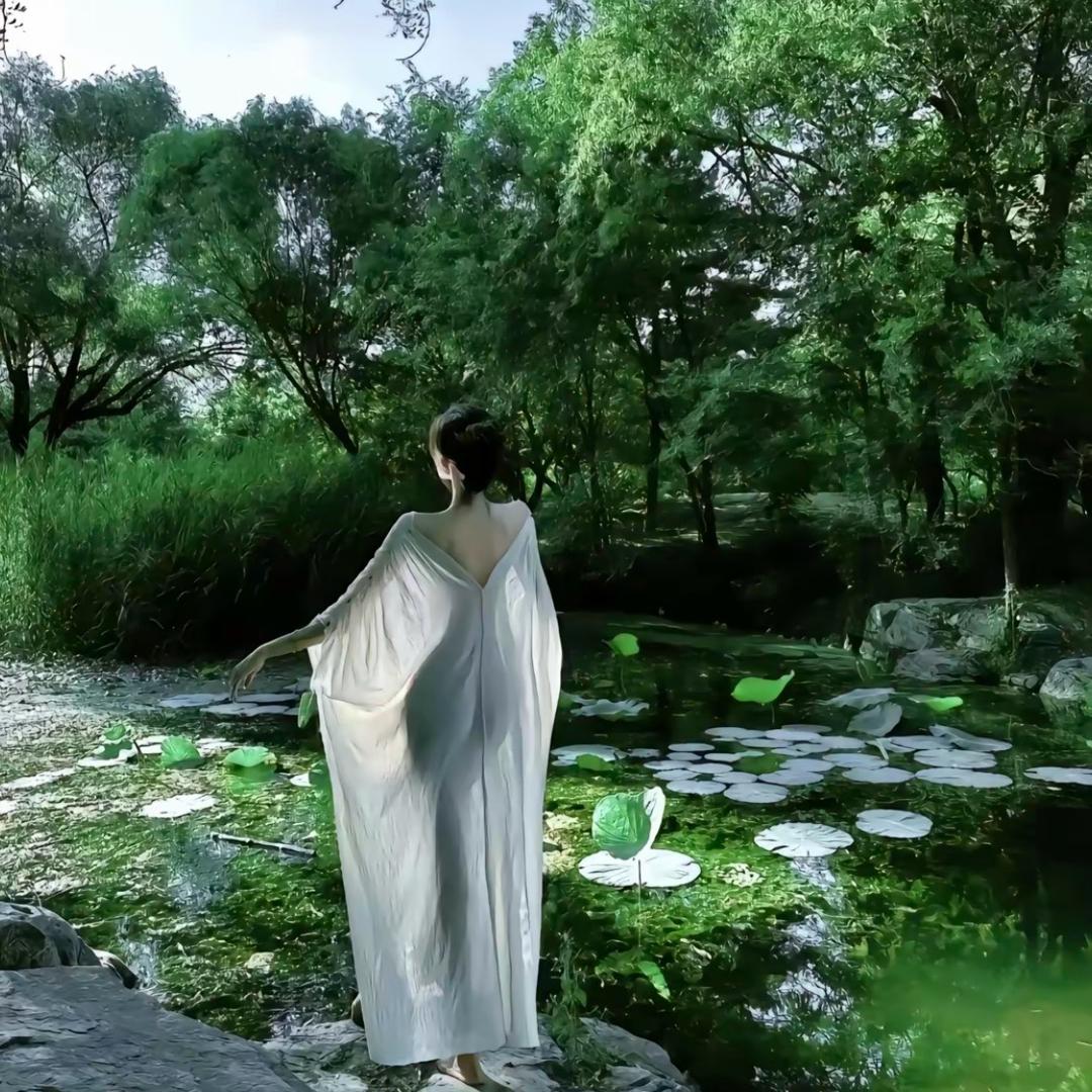 芒  果—