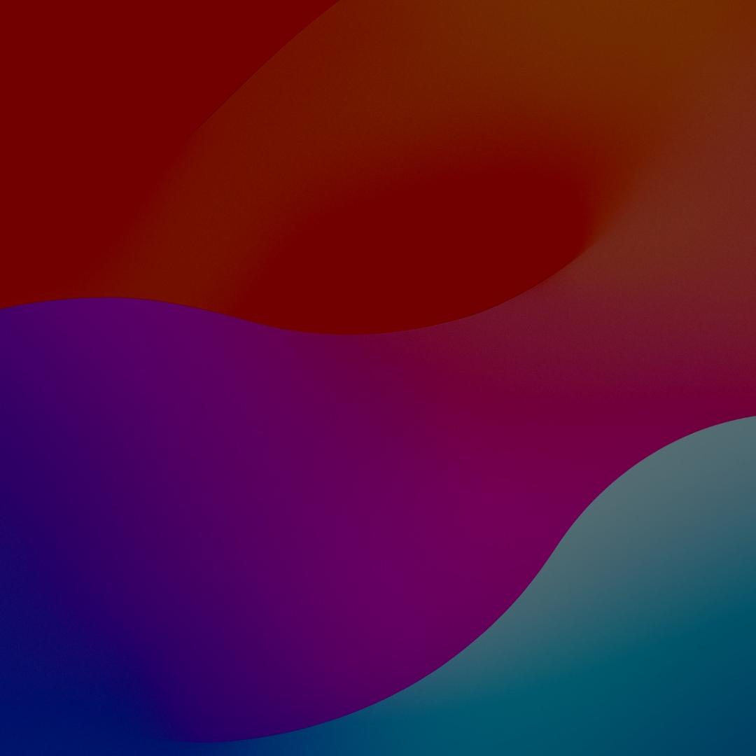 迪迪4
