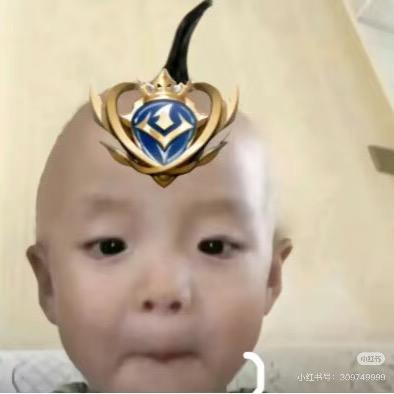 花寻.