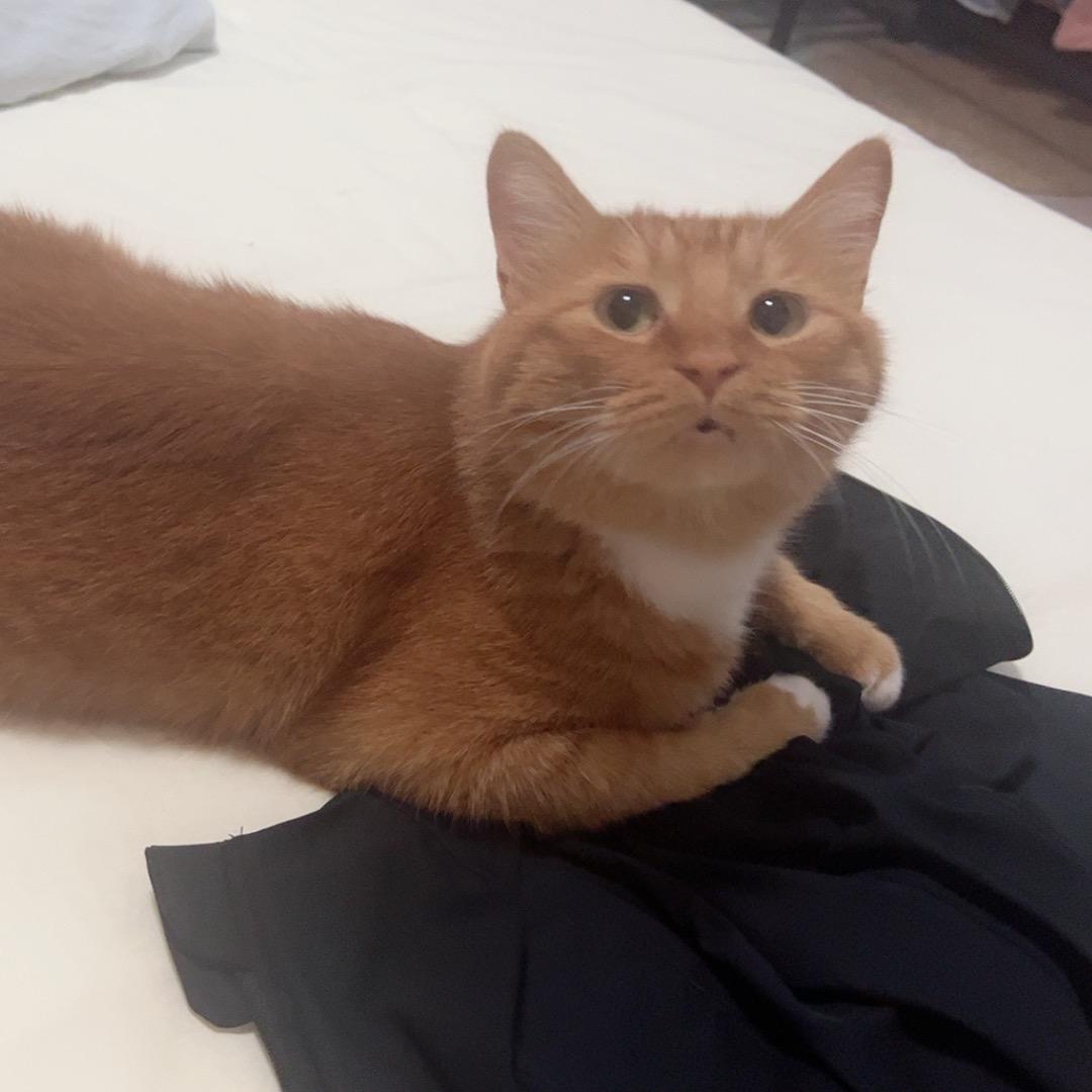 骑着蜗牛追导弹