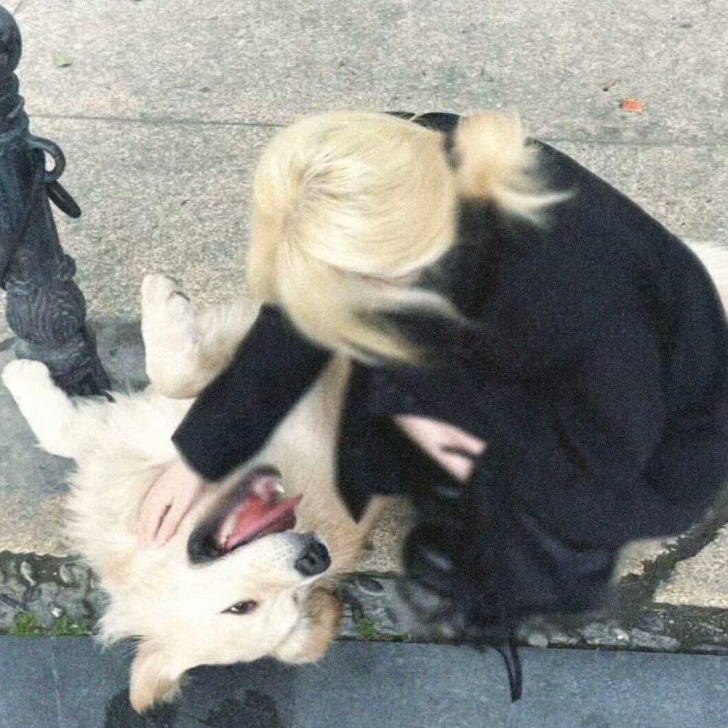别散.