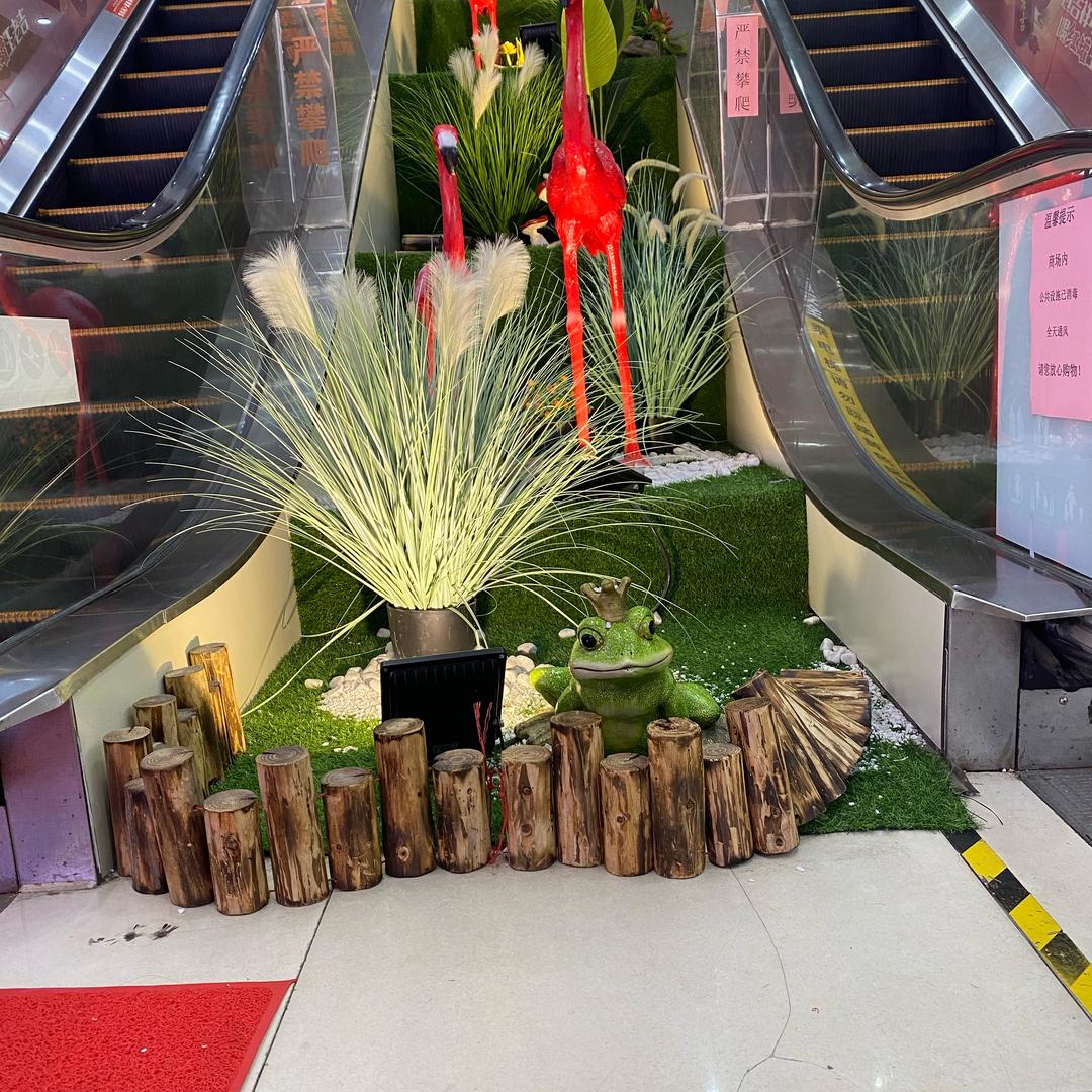 开心每一天聚才姐