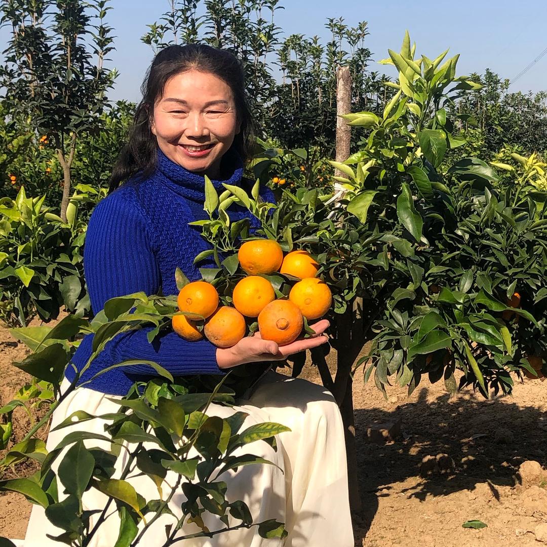 阳知光生物果树苗木专卖店