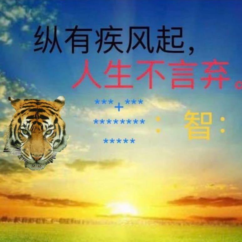 闪闪星