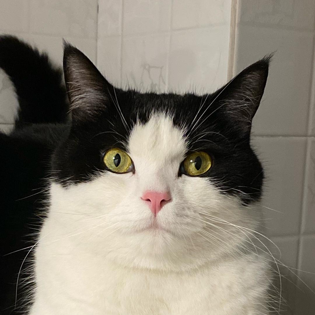 🌊🌊🌊🐳大海-87🐦‍🔥