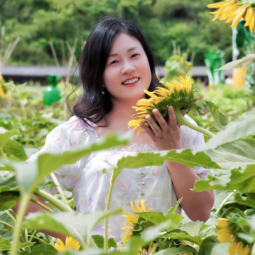 🌻💕向日葵🌻🌻