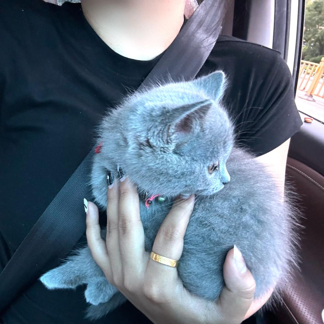 满地捡💩的日常～