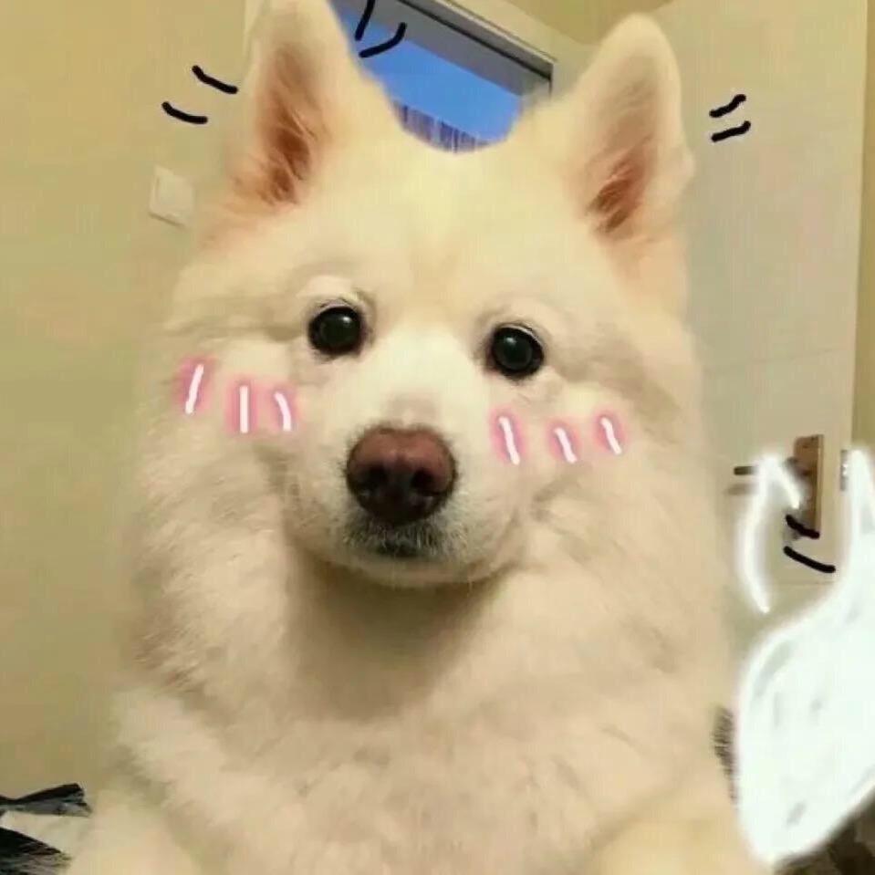 萌萌可爱