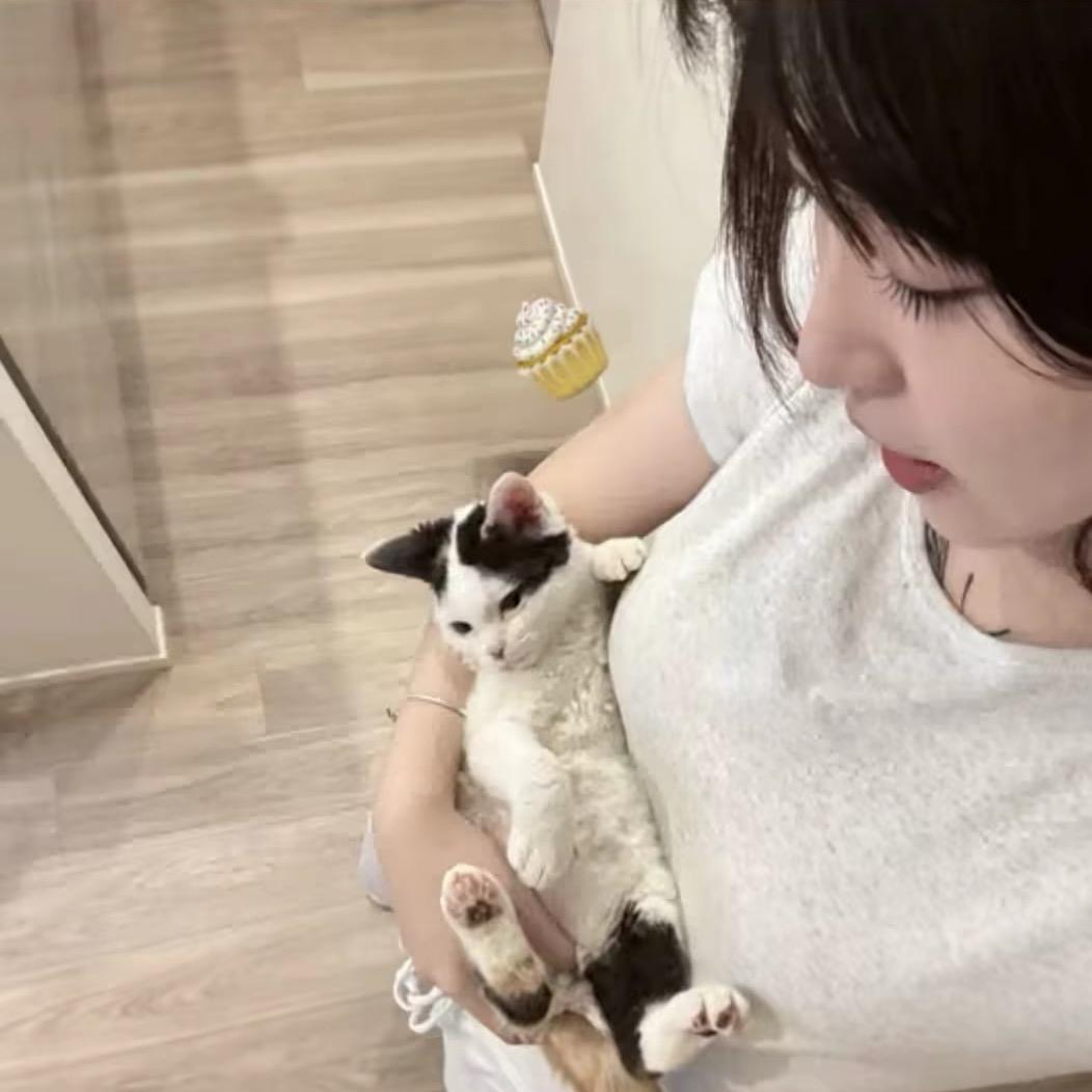 小呆.