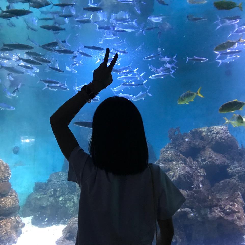 懂得很实验室