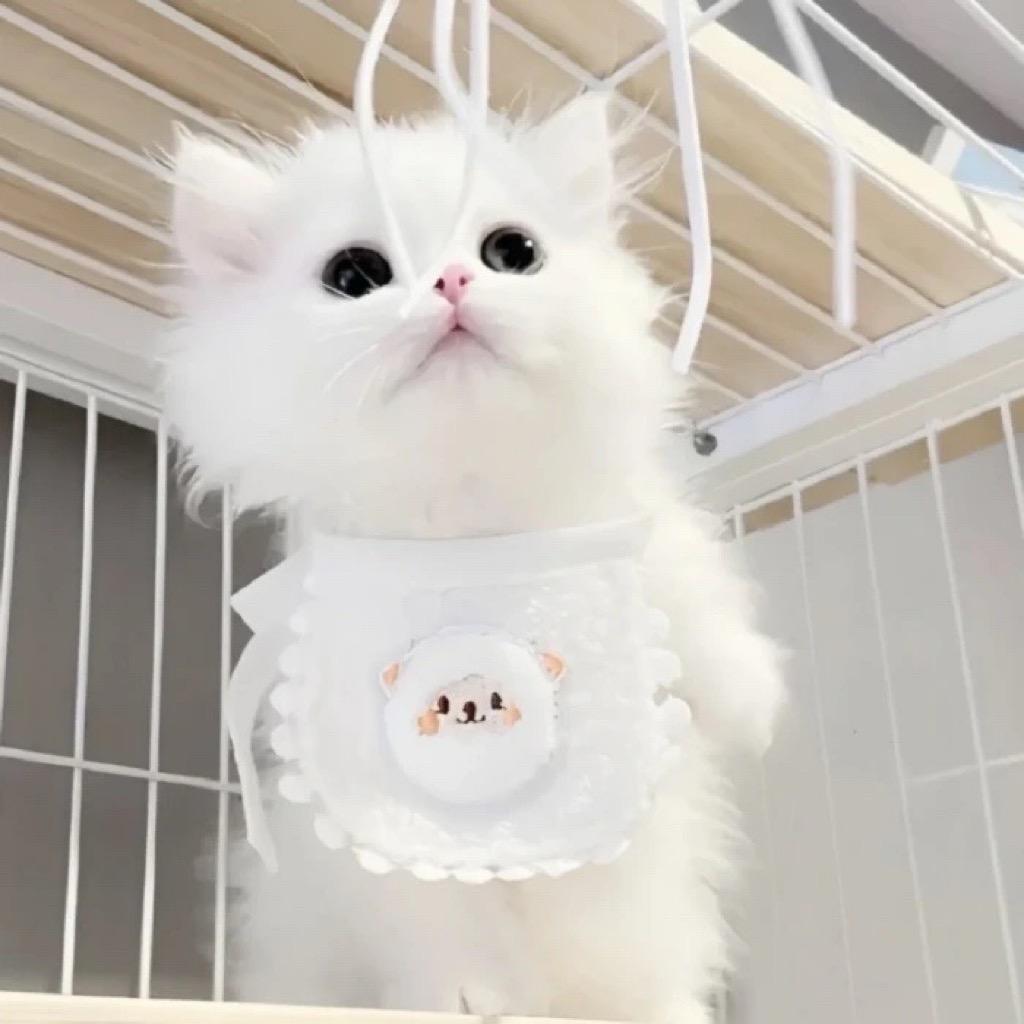 闪闪小柚（努力点展馆版）