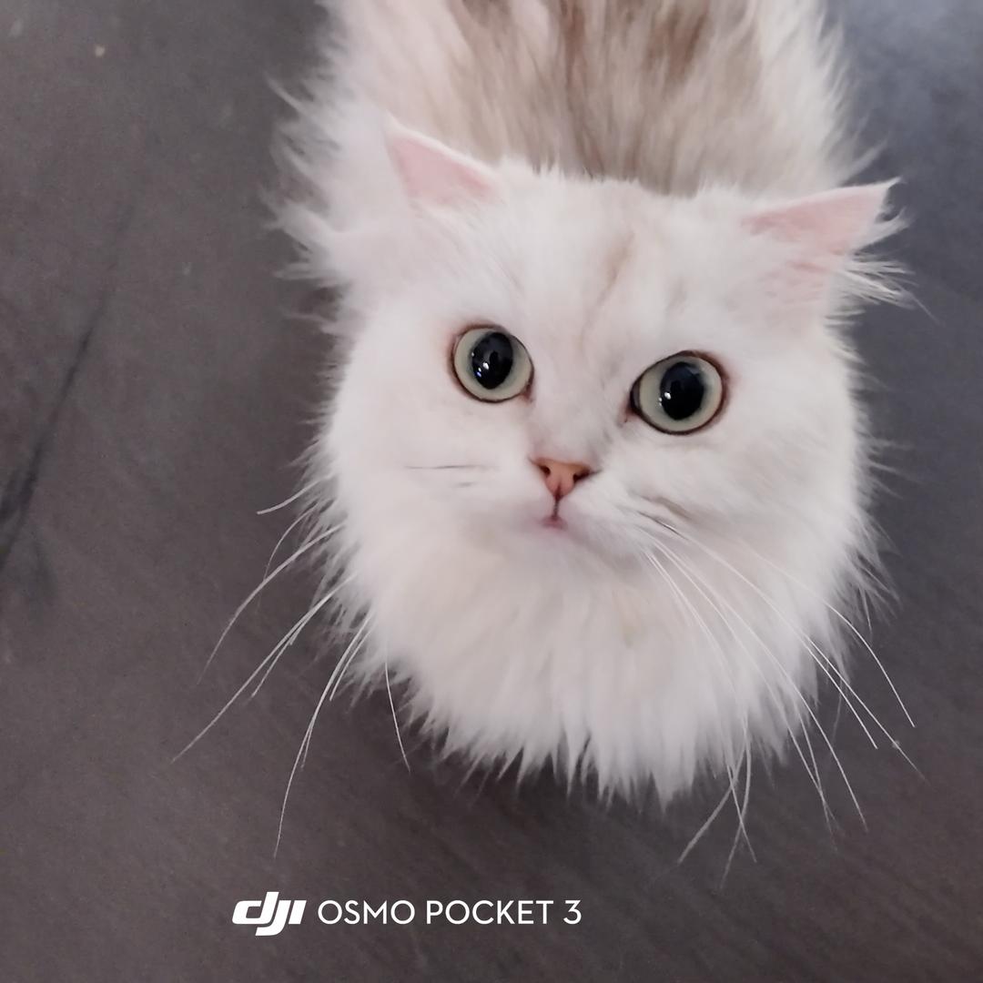 M.     ‘