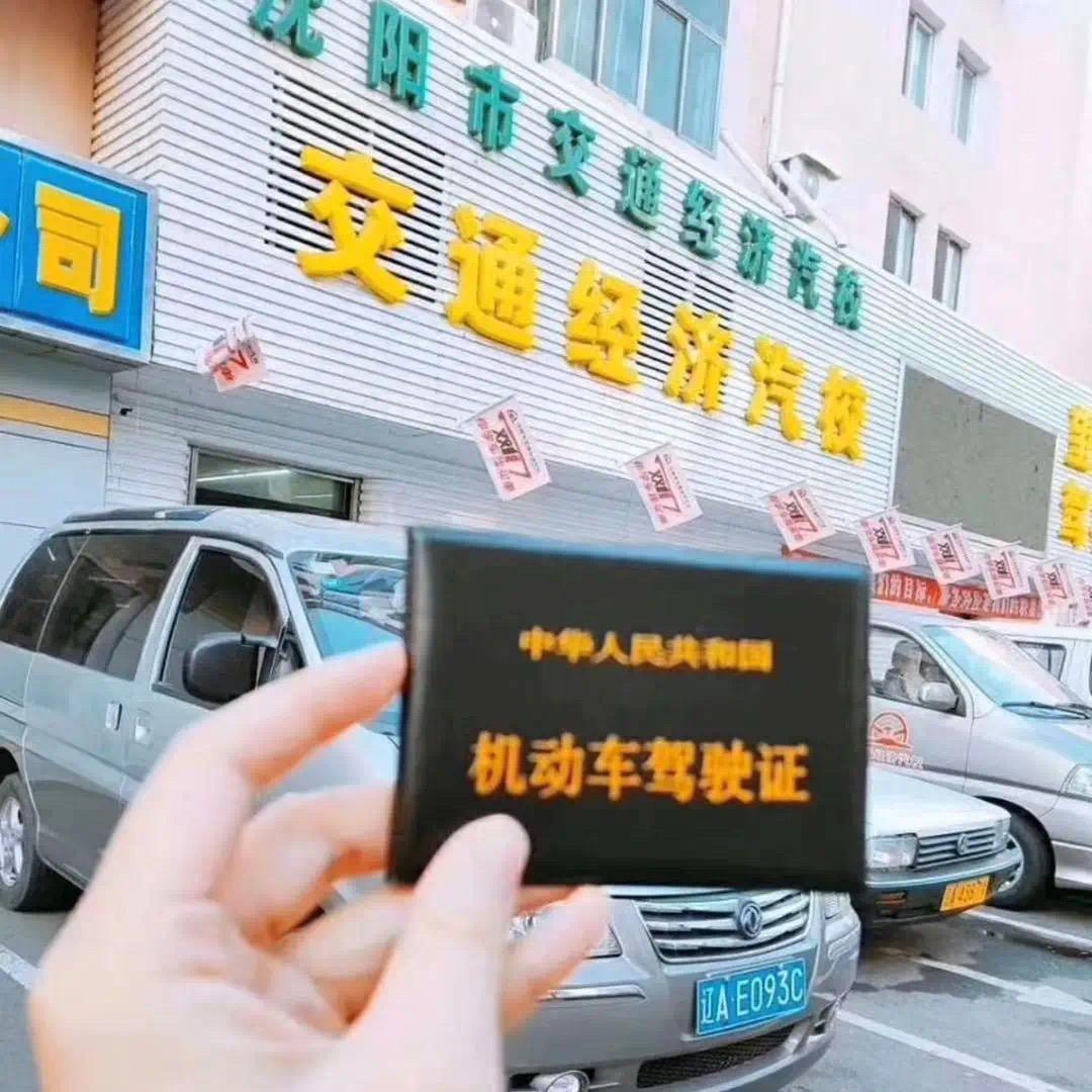 《邢福鼎·驾考“顶”流🚥》