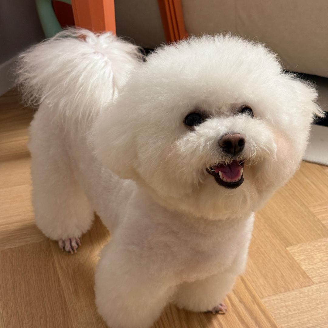 小金条麻麻