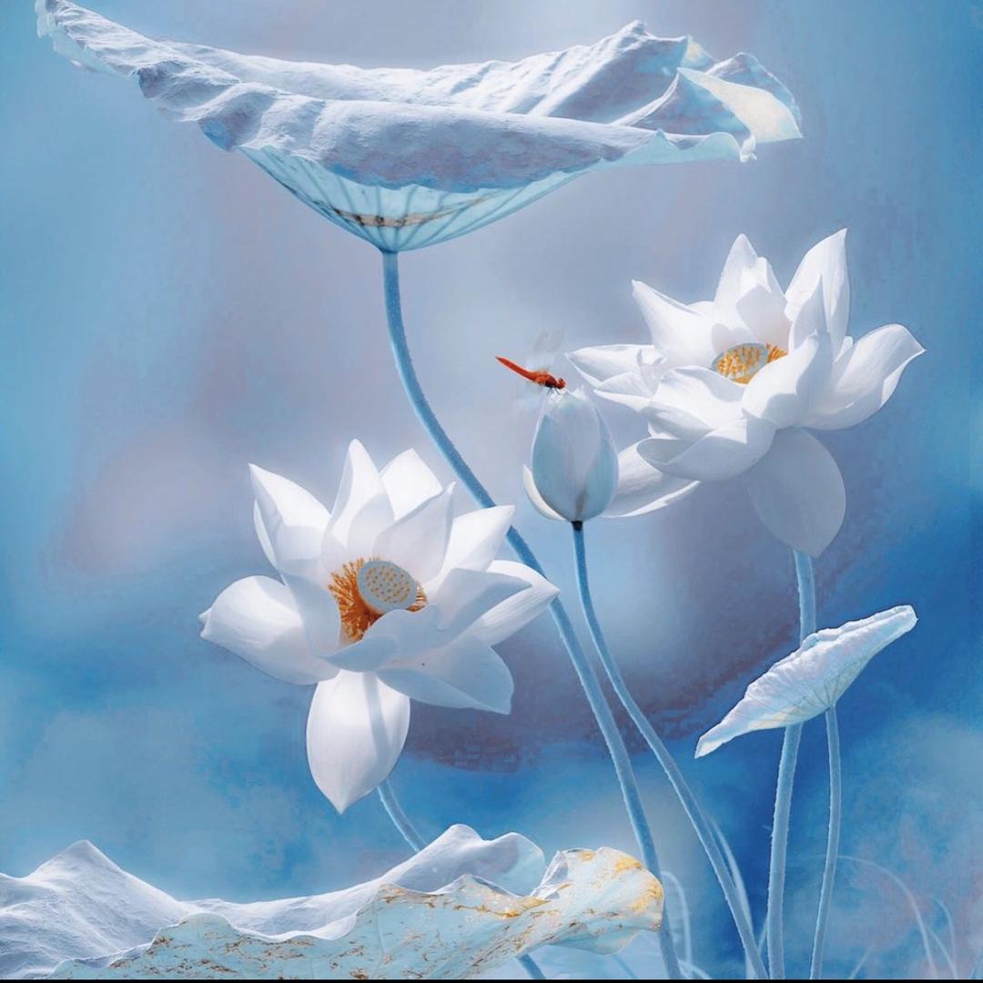 是耳火的耿 不是耳冘的耽🤣