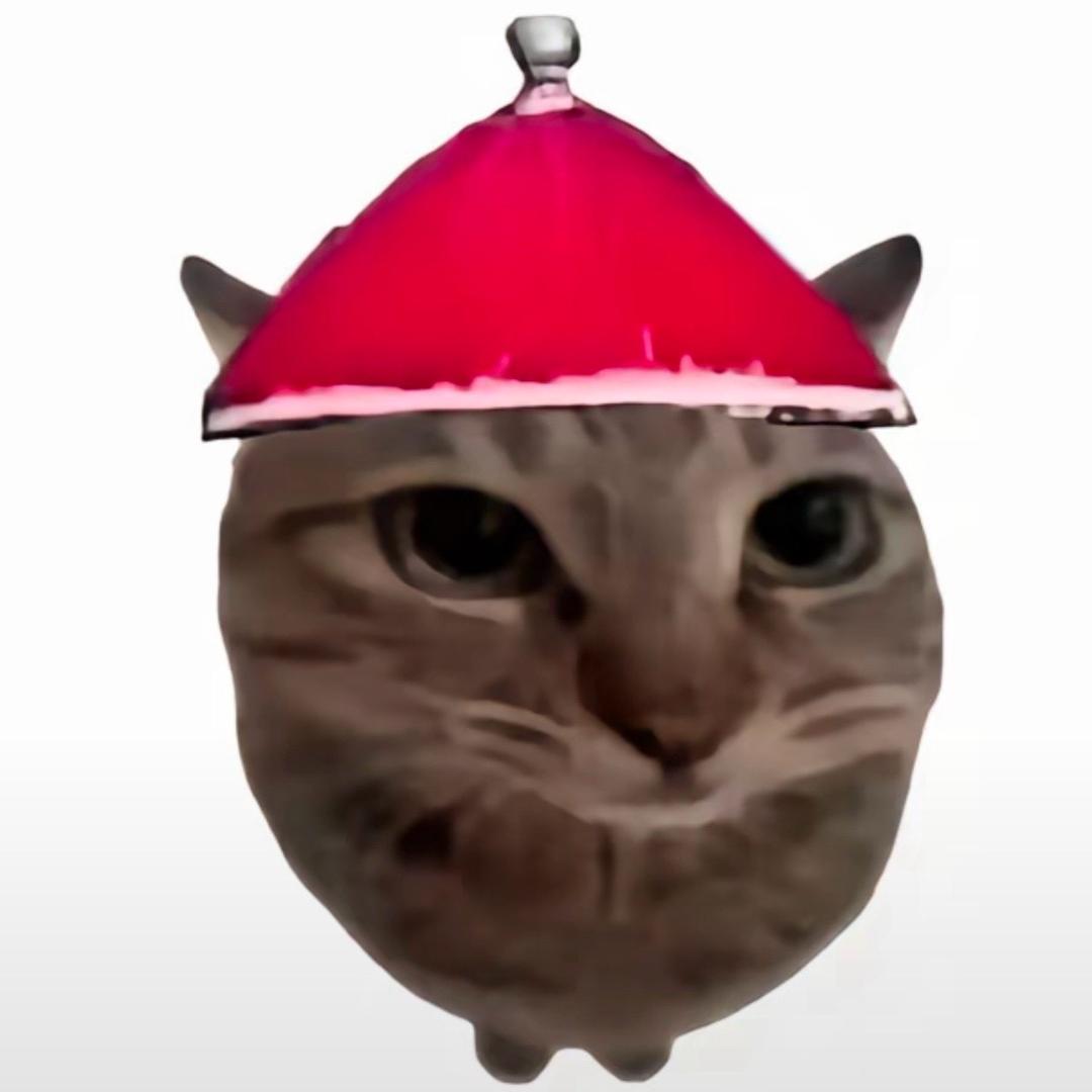 淸.
