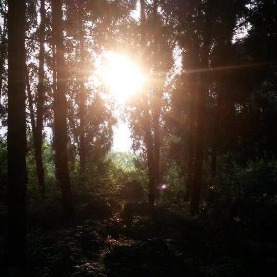 鱼观沧海