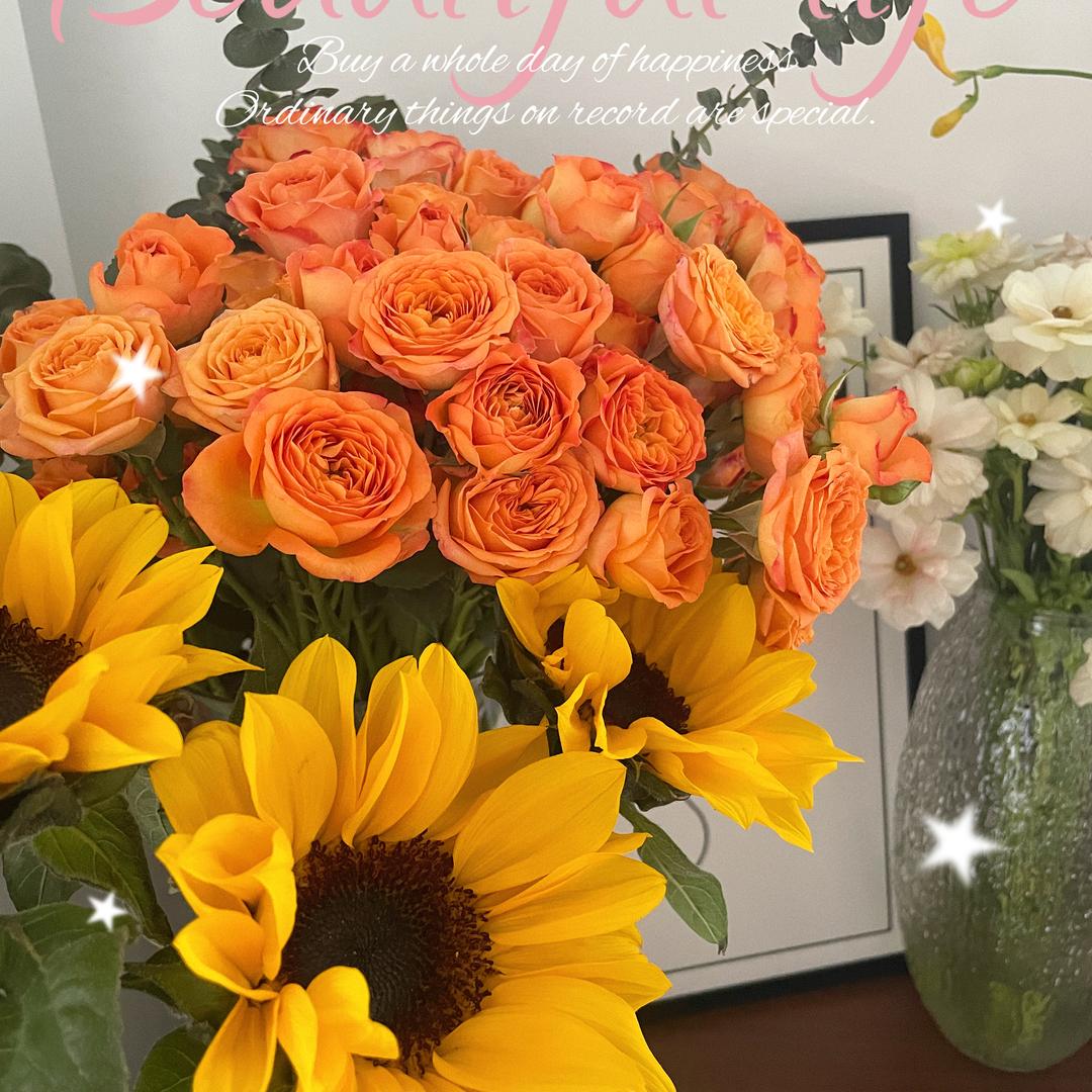 云影花卉店优选生活鲜花