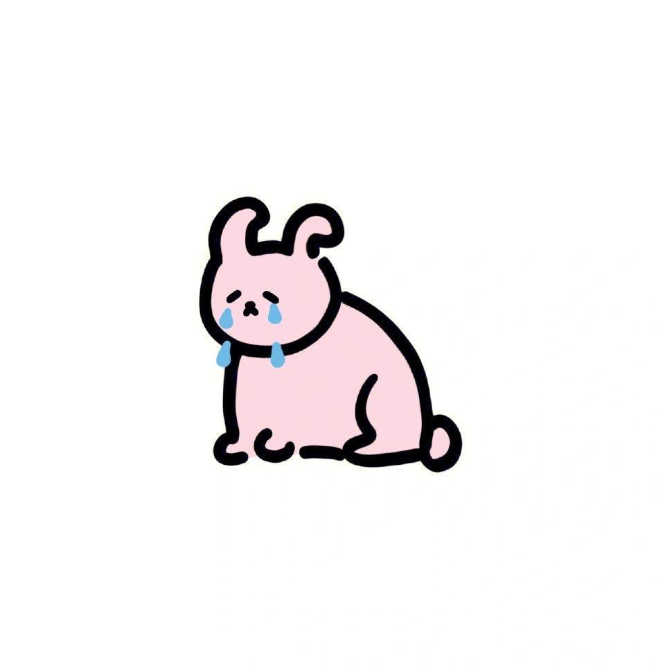 🐰兔子